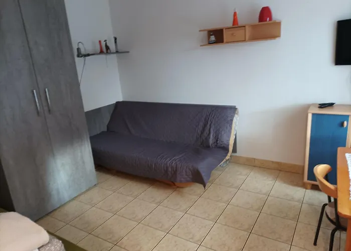 Magnolia Rowy (Pomerania)