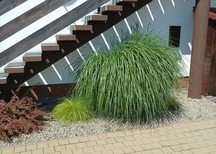 Lägenhet Magnolia *