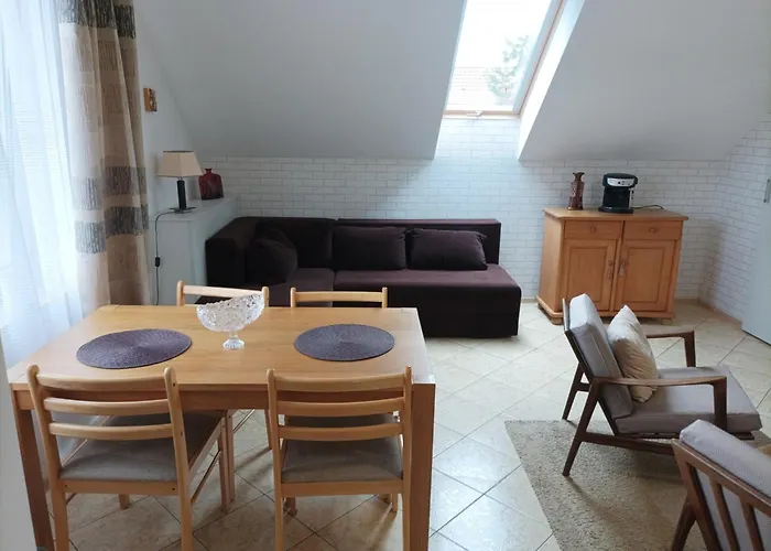 Magnolia Rowy (Pomerania)