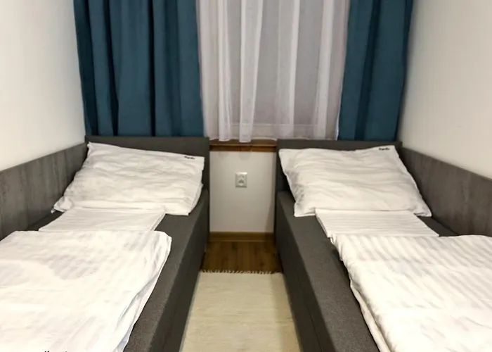 Magnolia Rowy (Pomerania)